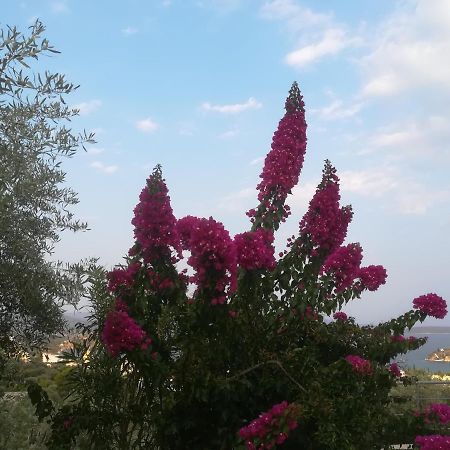 Willa Πέτρα, Ελιά Και Λεβάντα Tolón Zewnętrze zdjęcie