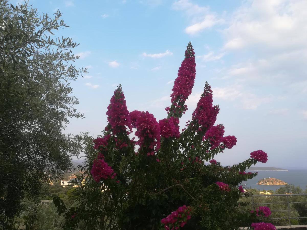 Willa Πέτρα, Ελιά Και Λεβάντα Tolón Zewnętrze zdjęcie