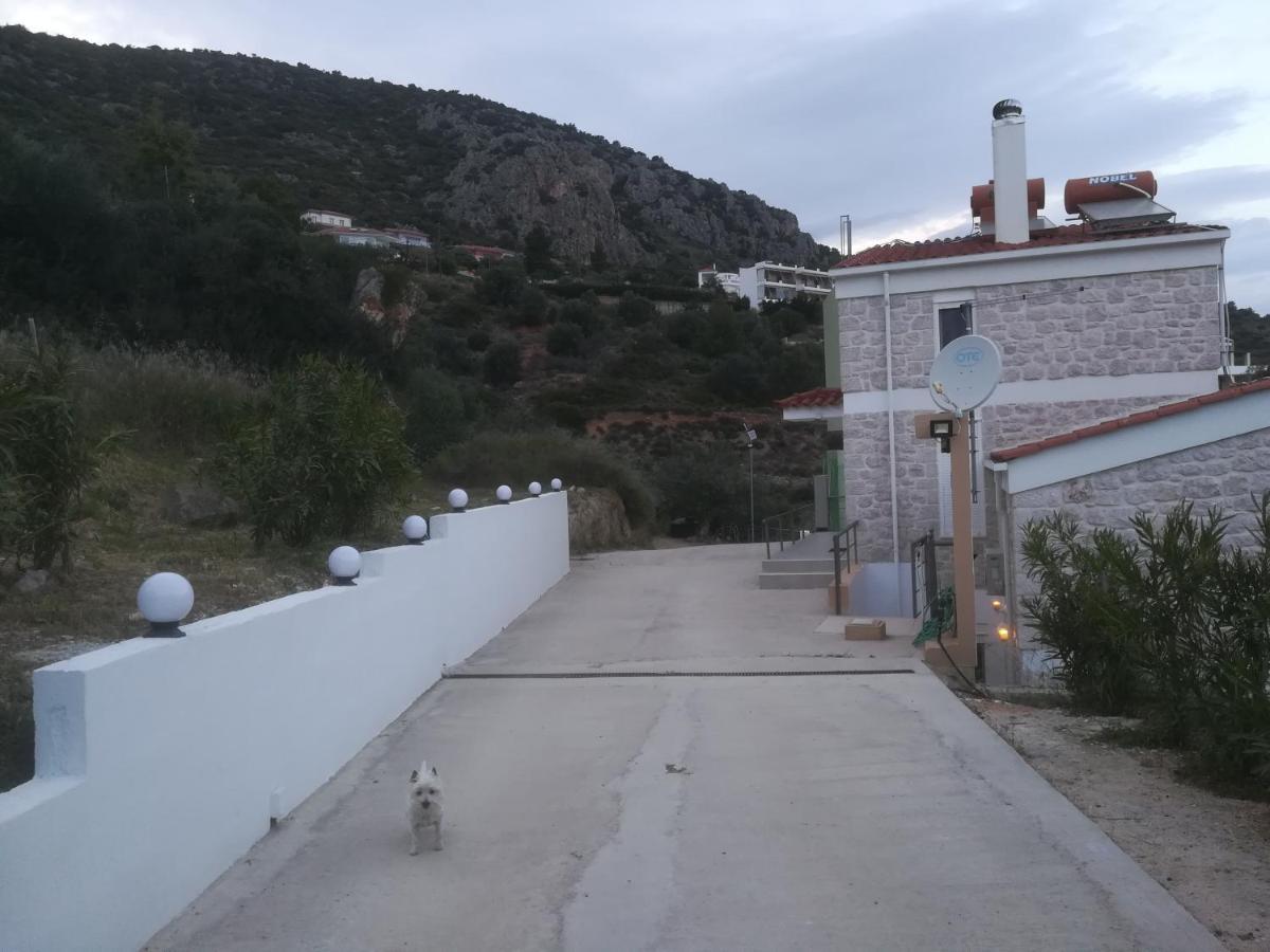Willa Πέτρα, Ελιά Και Λεβάντα Tolón Zewnętrze zdjęcie