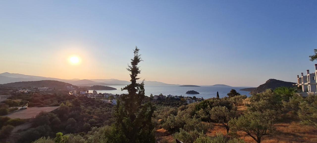 Willa Πέτρα, Ελιά Και Λεβάντα Tolón Zewnętrze zdjęcie