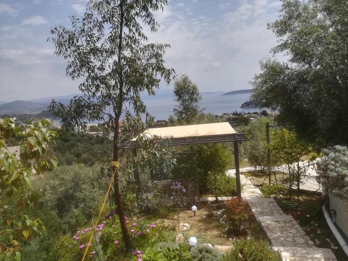 Willa Πέτρα, Ελιά Και Λεβάντα Tolón Zewnętrze zdjęcie