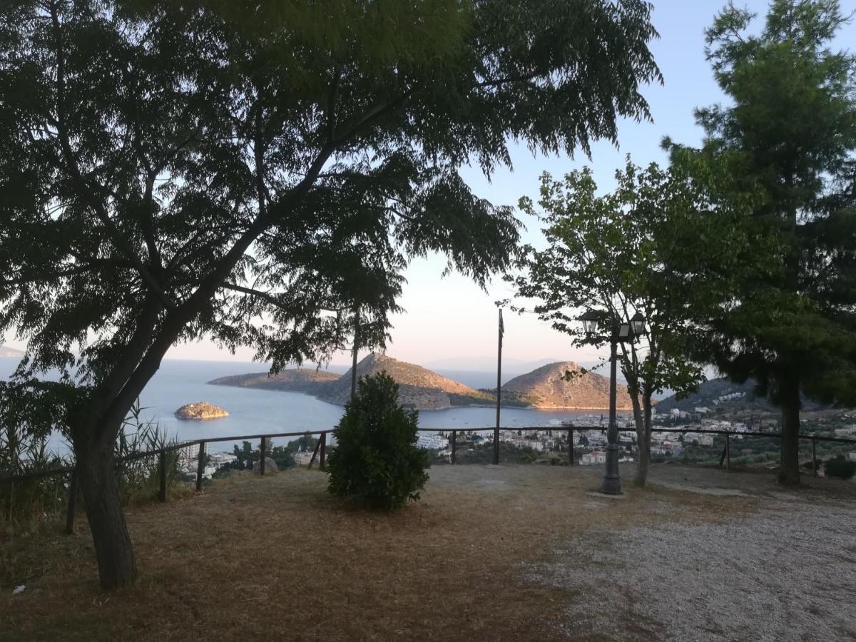 Willa Πέτρα, Ελιά Και Λεβάντα Tolón Zewnętrze zdjęcie