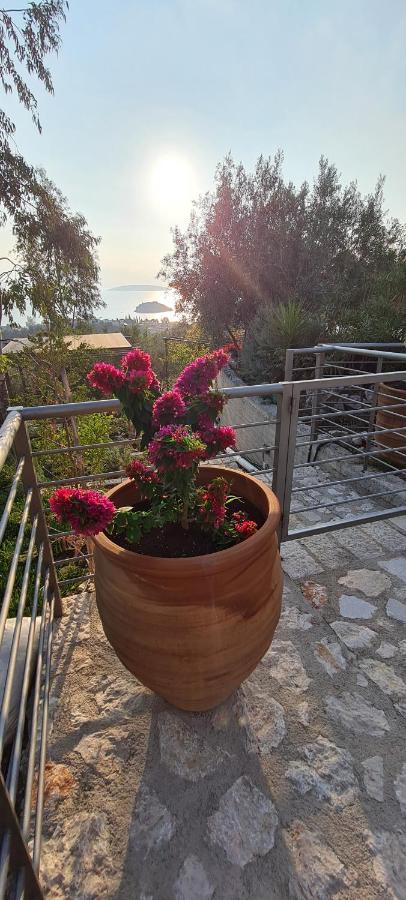 Willa Πέτρα, Ελιά Και Λεβάντα Tolón Zewnętrze zdjęcie
