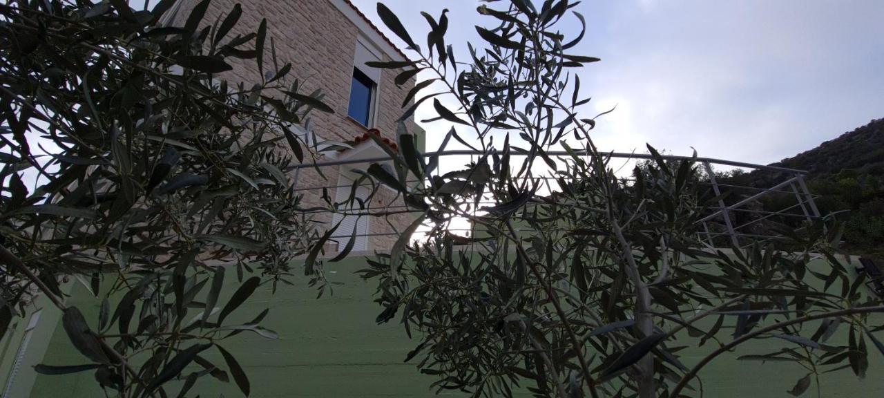 Willa Πέτρα, Ελιά Και Λεβάντα Tolón Zewnętrze zdjęcie