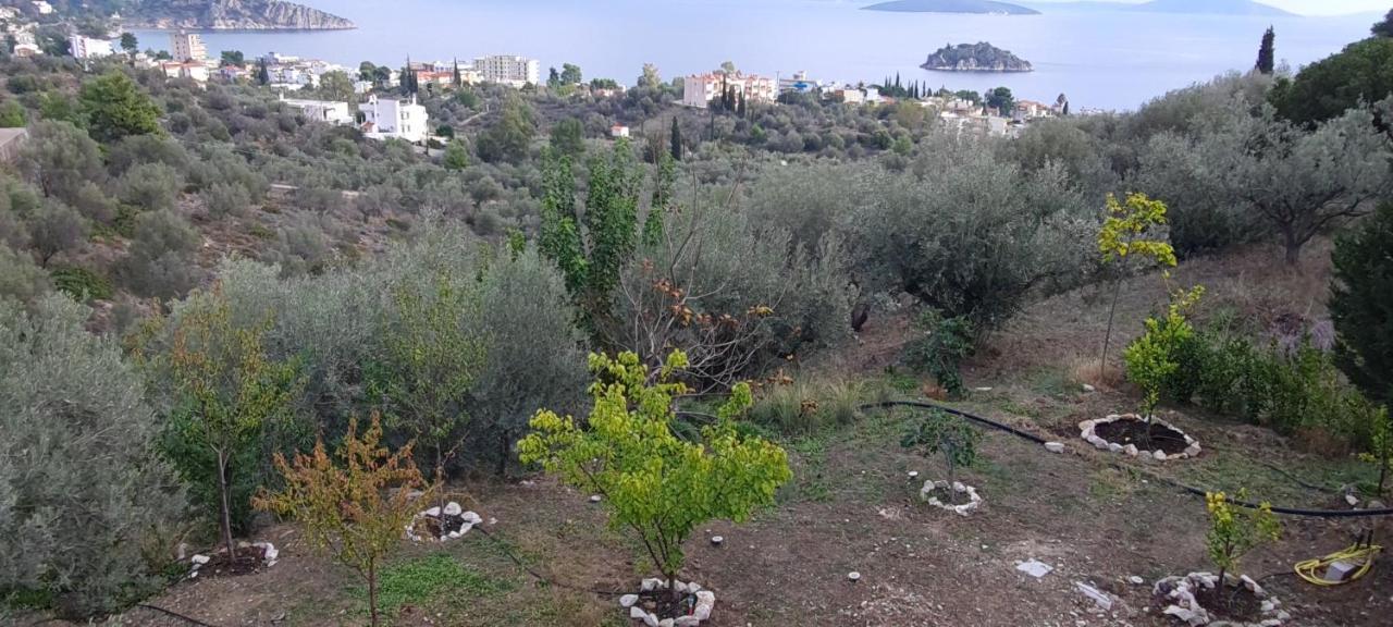 Willa Πέτρα, Ελιά Και Λεβάντα Tolón Zewnętrze zdjęcie