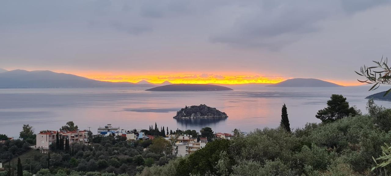 Willa Πέτρα, Ελιά Και Λεβάντα Tolón Zewnętrze zdjęcie