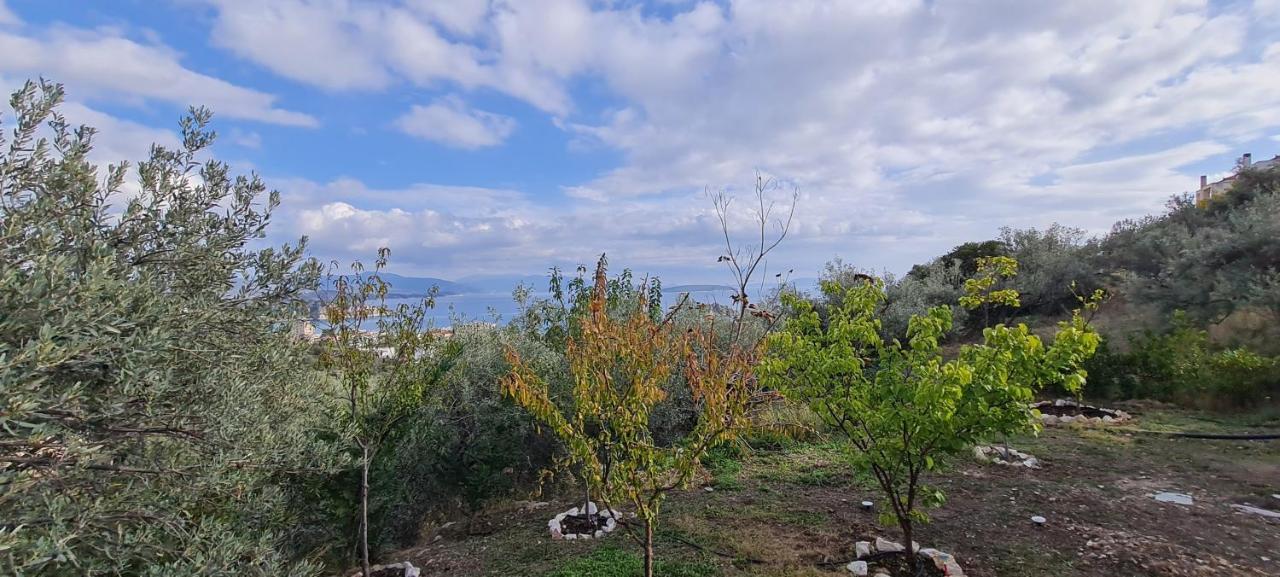Willa Πέτρα, Ελιά Και Λεβάντα Tolón Zewnętrze zdjęcie